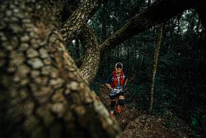 BIB: 
                            <button type="button" onclick="openModal(25700428)" class="btn btn-primary btn-sm float-right btn-popup" data-toggle="modal" data-target=".modal-high-quality">
                        <i class="fas fa-shopping-cart"></i> Add to Cart
                    </button>
                                            <button type="button" onclick="isThisMe(25700428, true)" class="btn btn-success btn-sm float-right btn-popup btn-isme hidden" data-toggle="tooltip" data-placement="bottom" title="นี่คือรูปของคุณใช่ไหม คลิกที่นี่เพื่อเอาเข้าอัลบั้ม">
                        <i class="fas fa-plus"></i> Add to album
                    </button>
                    <button type="button" onclick="isThisMe(25700428, false)" class="btn btn-warning btn-sm float-right btn-popup btn-isnotme hidden">
                        <i class="fas fa-ban"></i> Remove from album
                    </button>